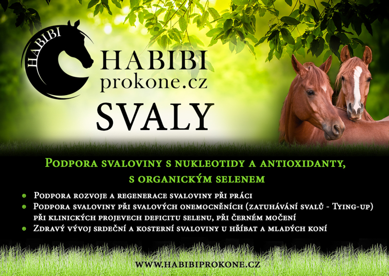 HABIBI - SVALY 10KG - 133 dní